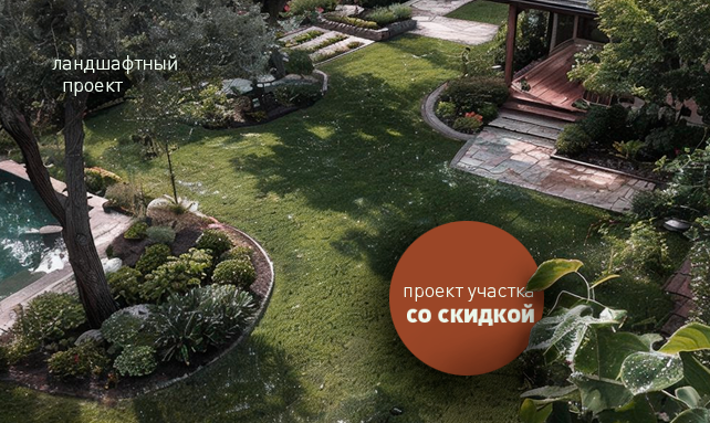 проект со скидкой